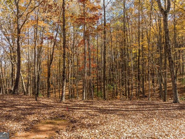 LT 17R Tanager Trail, Ellijay, GA 30536