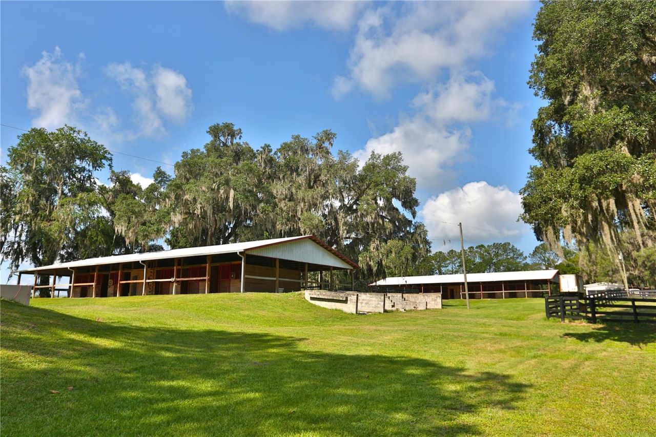 13450 NW Gainesville Road, Unit Option 2, Reddick, FL 32686 Photo