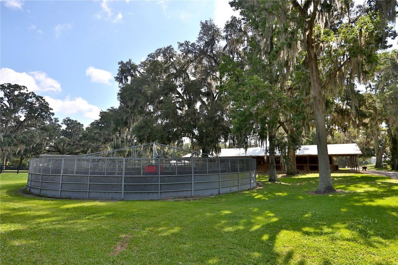 13450 NW Gainesville Road, Unit Option 2, Reddick, FL 32686 Photo
