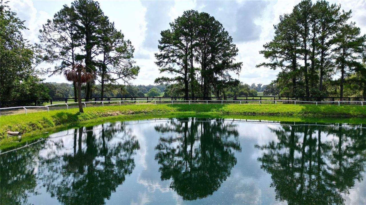 13450 NW Gainesville Road, Unit Option 2, Reddick, FL 32686 Photo