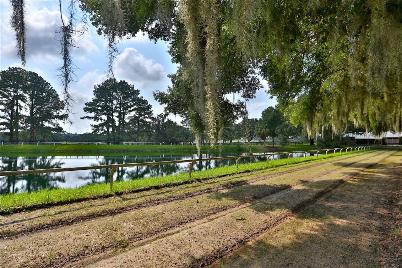 13450 NW Gainesville Road, Unit Option 2, Reddick, FL 32686 Photo