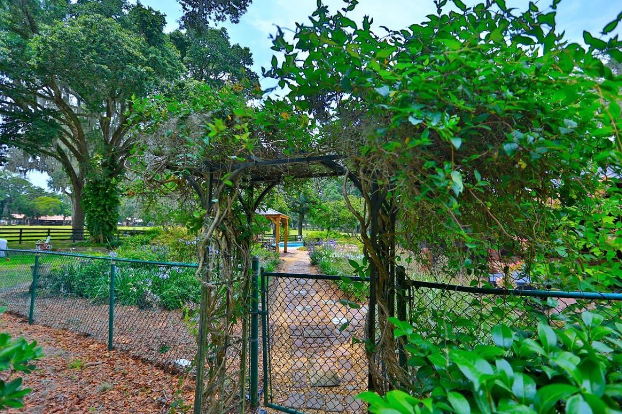 13450 NW Gainesville Road, Unit Option 2, Reddick, FL 32686 Photo