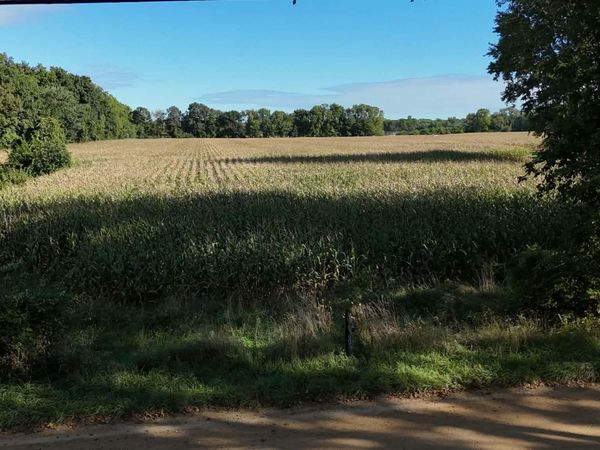 VL Burton Road, Niles, MI 49120