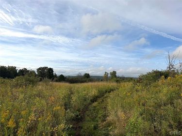 Ball Hill Road, South Dayton, NY 14138