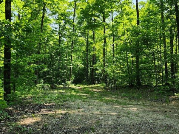 80 W Trophy LN, Hessel, MI 49745