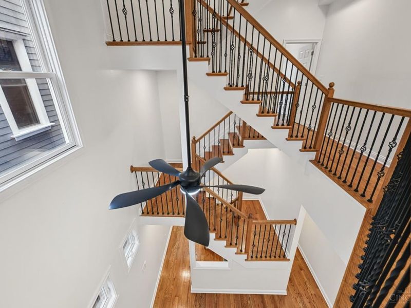 1125 Belvedere Street, Cincinnati, OH 45202 Photo 20