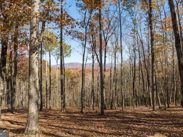 19R Settlement Trail, Ellijay, GA 30536