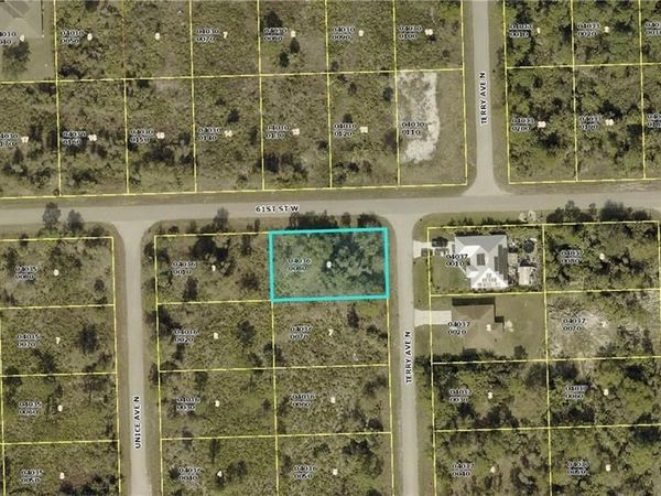 6017 Terry AVE N, LEHIGH ACRES, FL 33971
