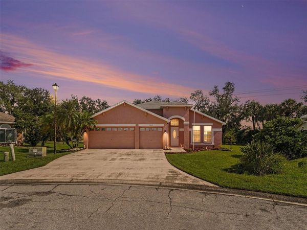 3905 CARDIFF PLACE , PARRISH, FL 34219