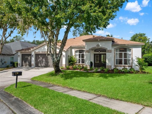 6111 HERONCREST COURT , LITHIA, FL 33547