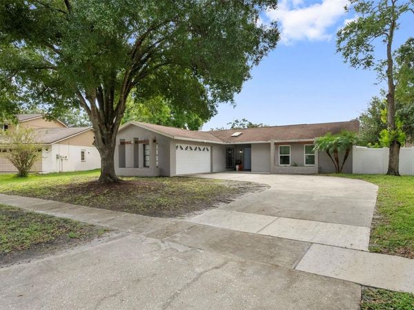 4010 BRAESGATE LANE , TAMPA, FL 33624