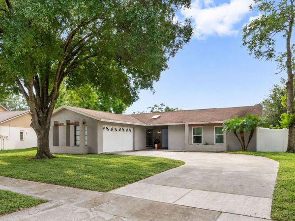 4010 BRAESGATE LANE , TAMPA, FL 33624