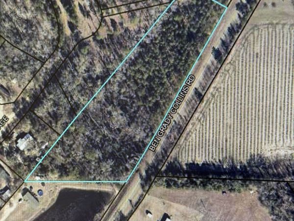 0 Ben Grady Collins Road, Portal, GA 30450