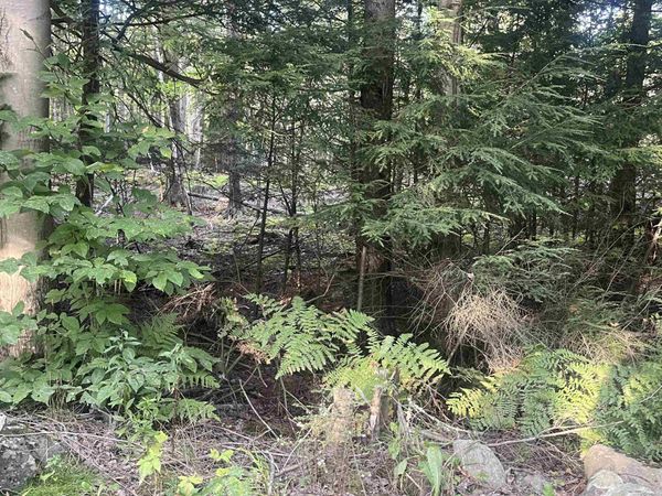Lot 3 Clif Reynolds Road, Cambridge, VT 05444