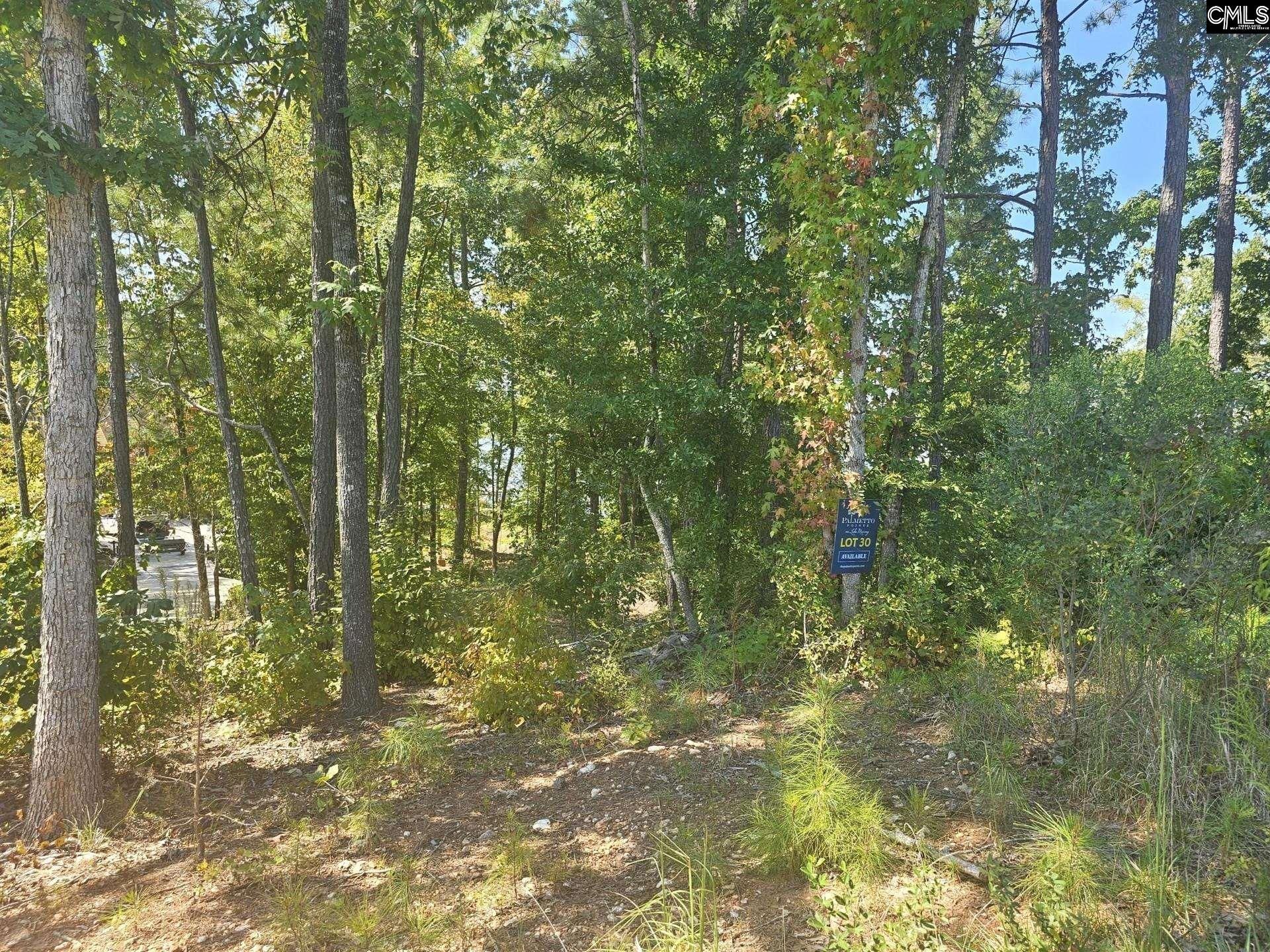Lot 30 Longview Drive  Photo 4