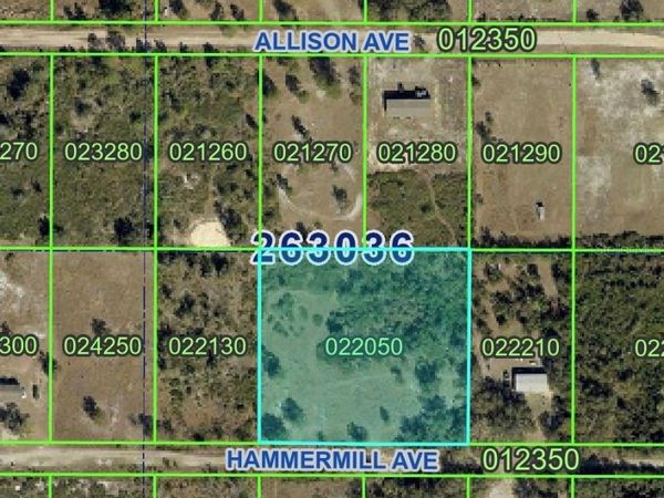 HAMMERMILL AVENUE , LAKE WALES, FL 33859