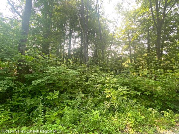 1270 Hurley Mountain Road, Hurley, NY 12443