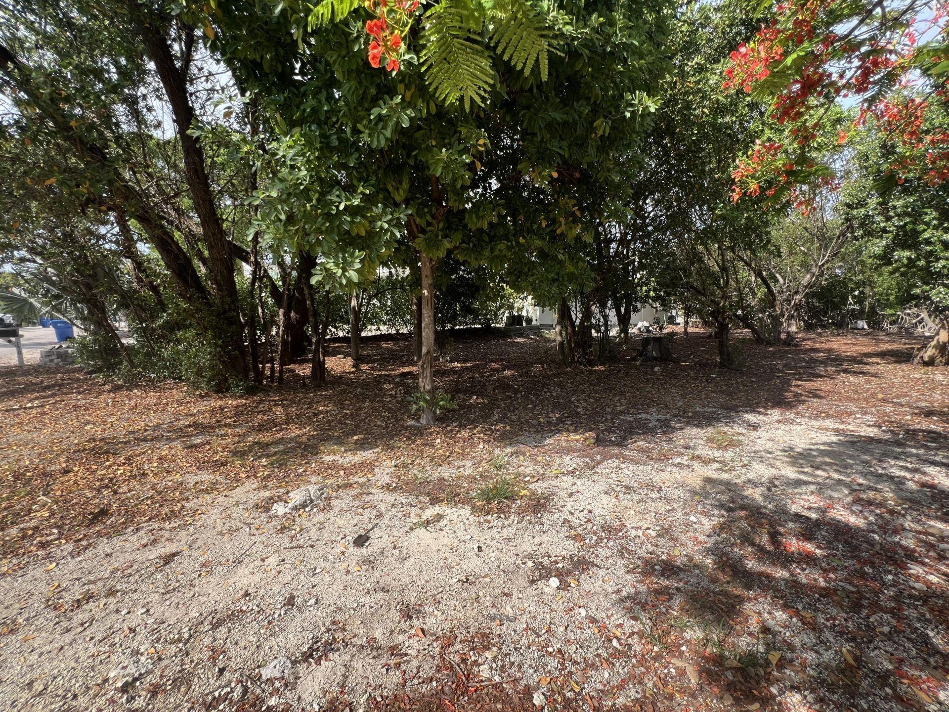 148 Tequesta Street, Tavernier, FL 33070 Photo