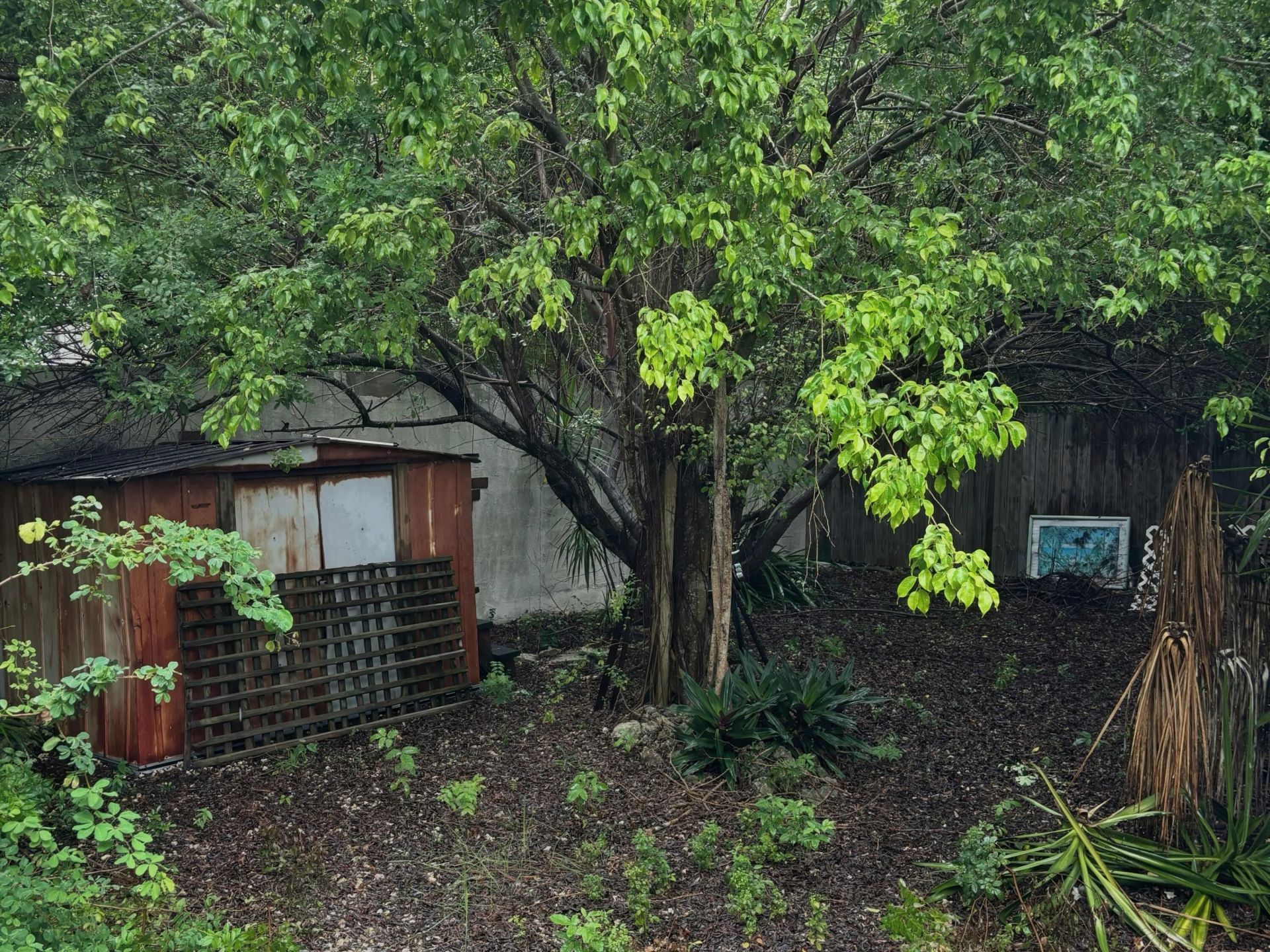 1030 Snapper Lane, Key Largo, FL 33037 Photo