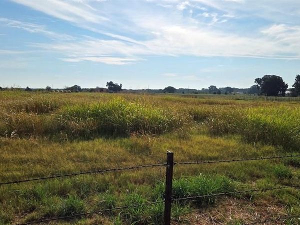 0000 FM 901 , Sadler, TX 76264