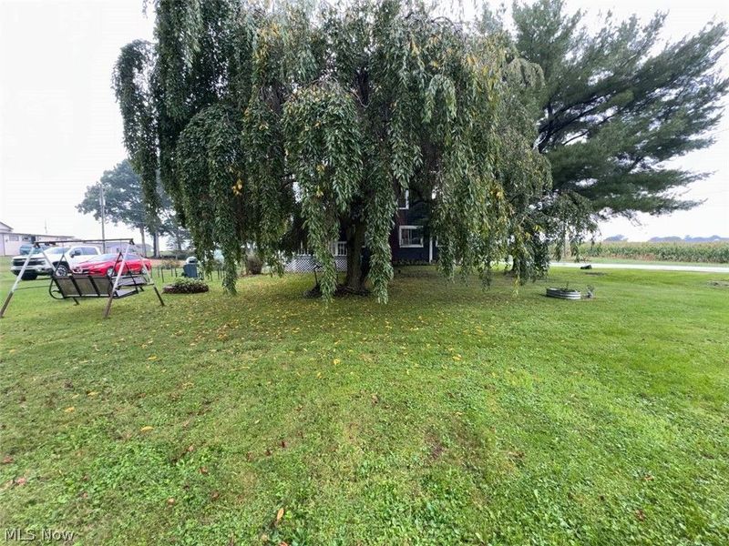 14604 Shreve Road, Big Prairie, OH 44611 Photo 6