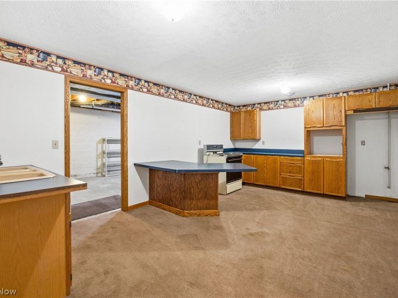 1035 W Liberty Street, Medina, OH 44256 Photo 33