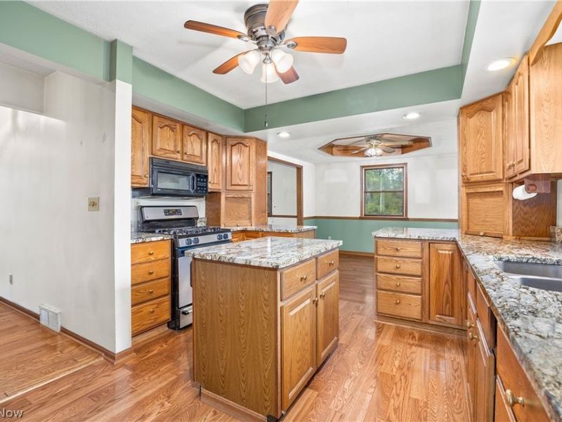 1035 W Liberty Street, Medina, OH 44256 Photo 4