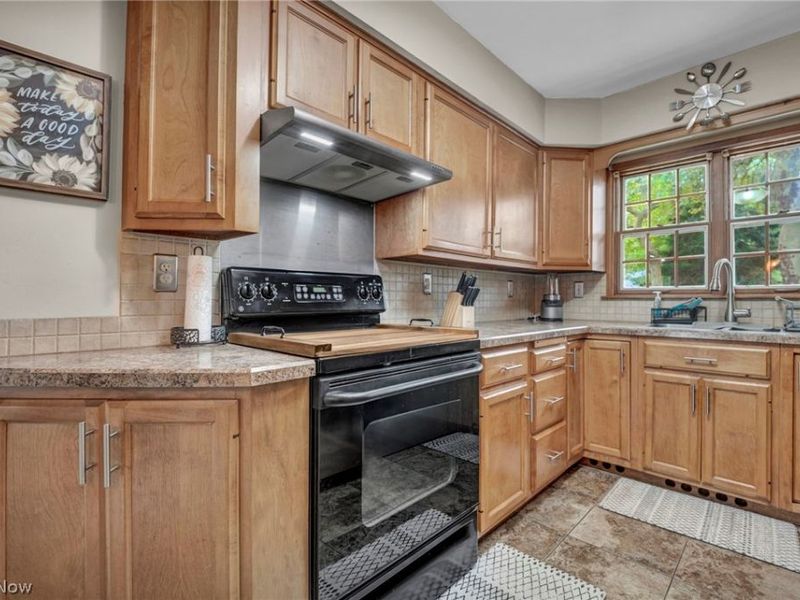 1725 Bathgate Avenue, Madison, OH 44057 Photo 22