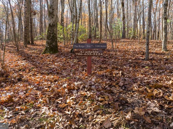 LOT 7 Joseph Anderson Trail, Ellijay, GA 30536
