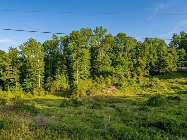 0 Ember Lane, Ohatchee, AL 36271