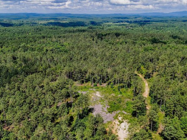 1 County Road 65, Fruithurst, AL 36262