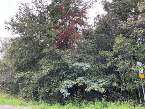 LOT 1 PINE RADIAL RUN , OCALA, FL 34472