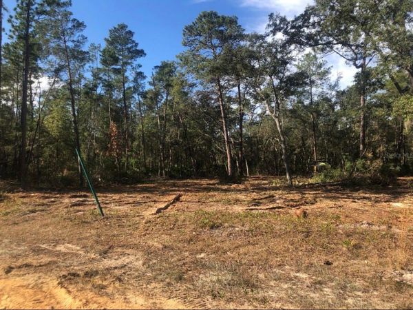 819 CREAGEER AVENUE , INTERLACHEN, FL 32148