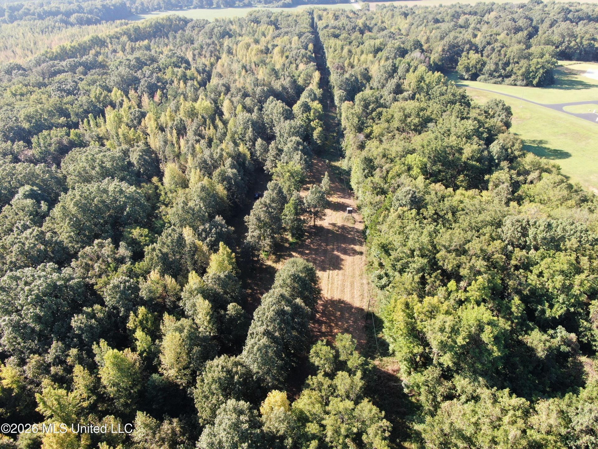 390 Old Panola Rd, Sardis, MS 38666 Main Photo