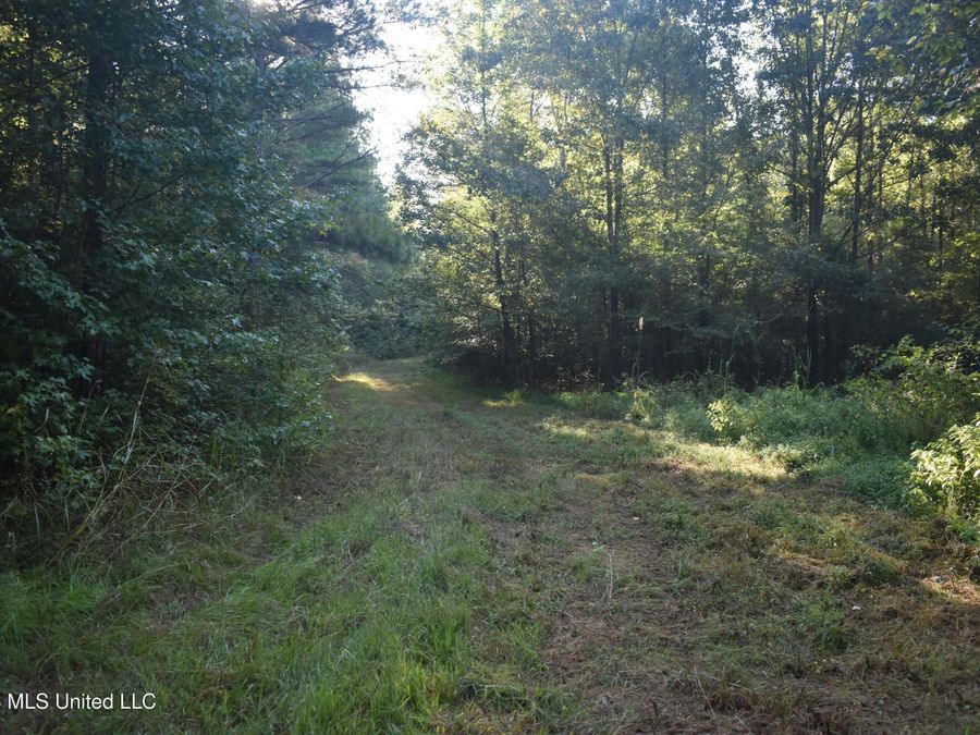 Property Image 53