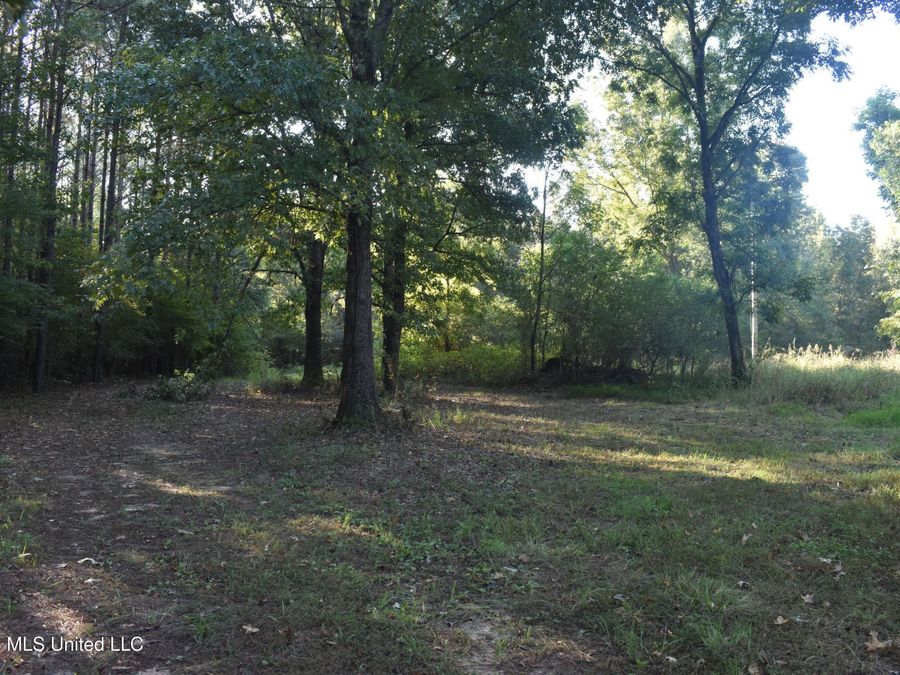 Property Image 56