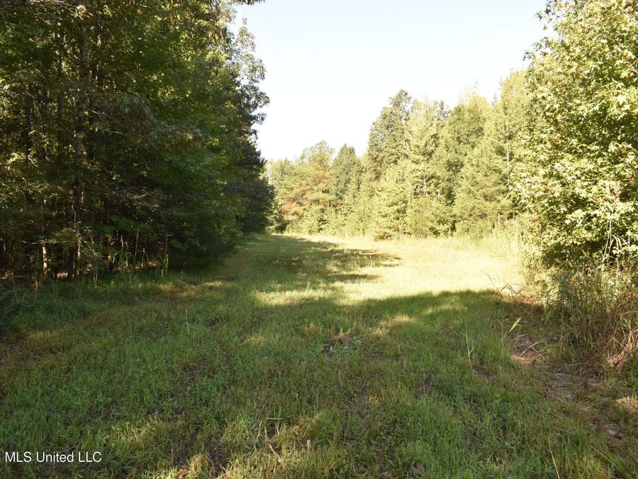 Property Image 60
