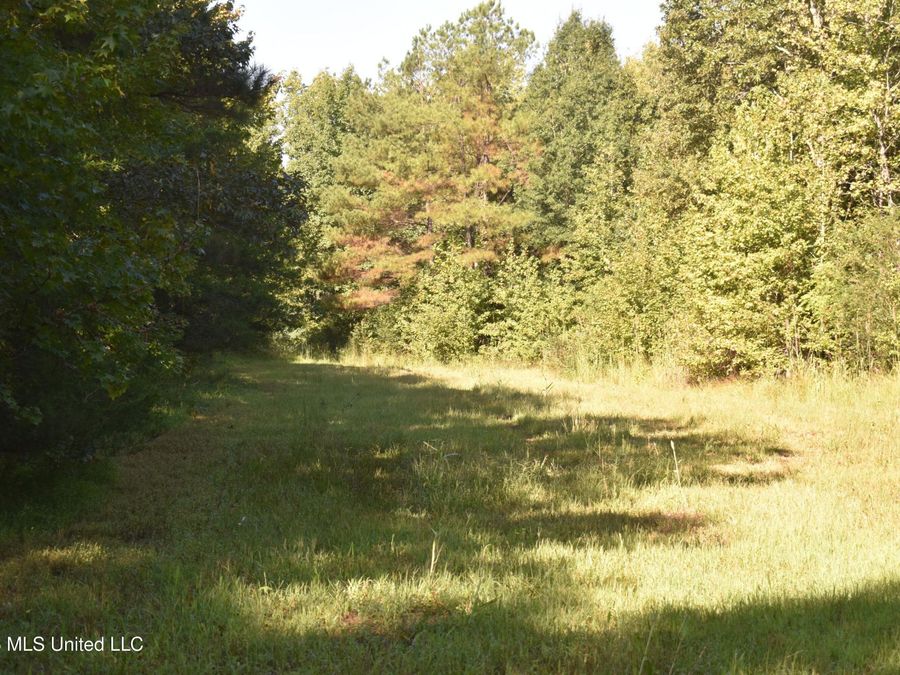 Property Image 61