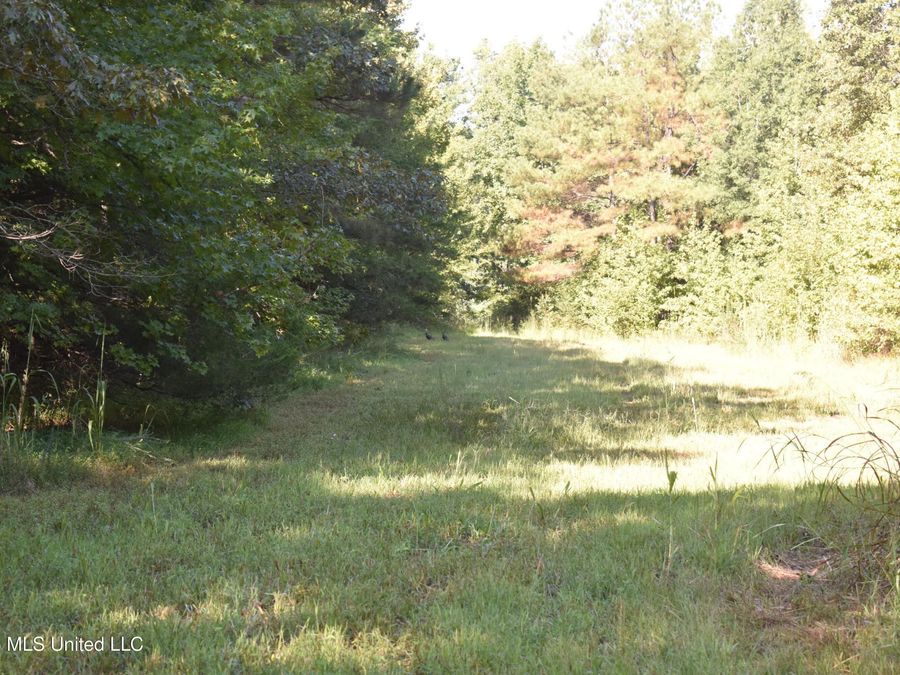 Property Image 62