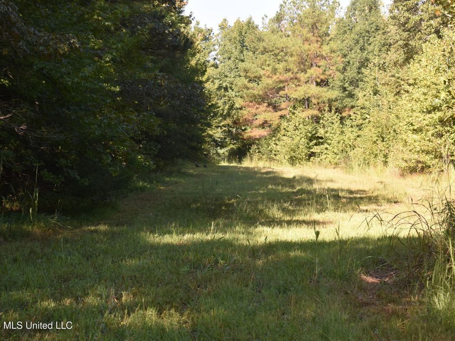 Property Image 63