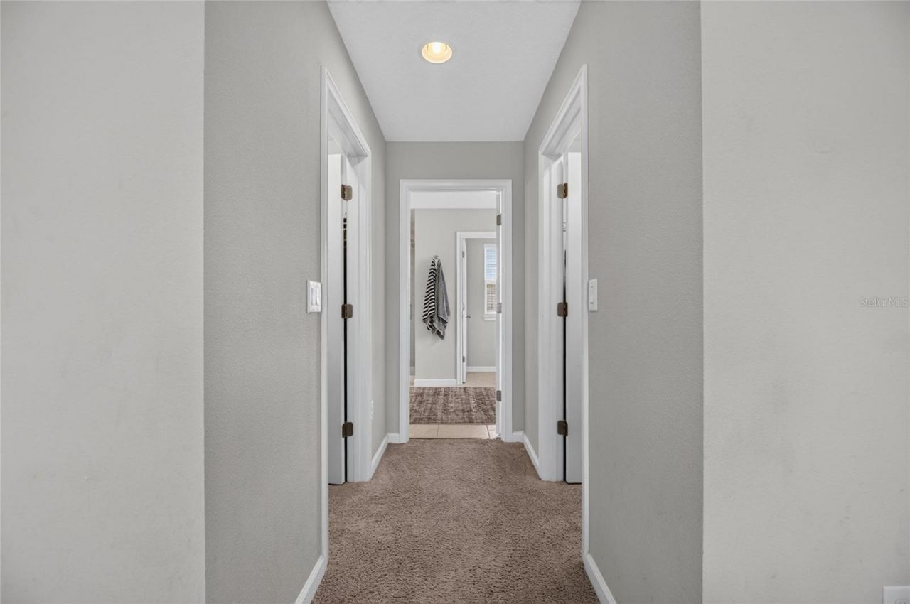 12211 Streambed Drive , Riverview, FL 33579 Photo
