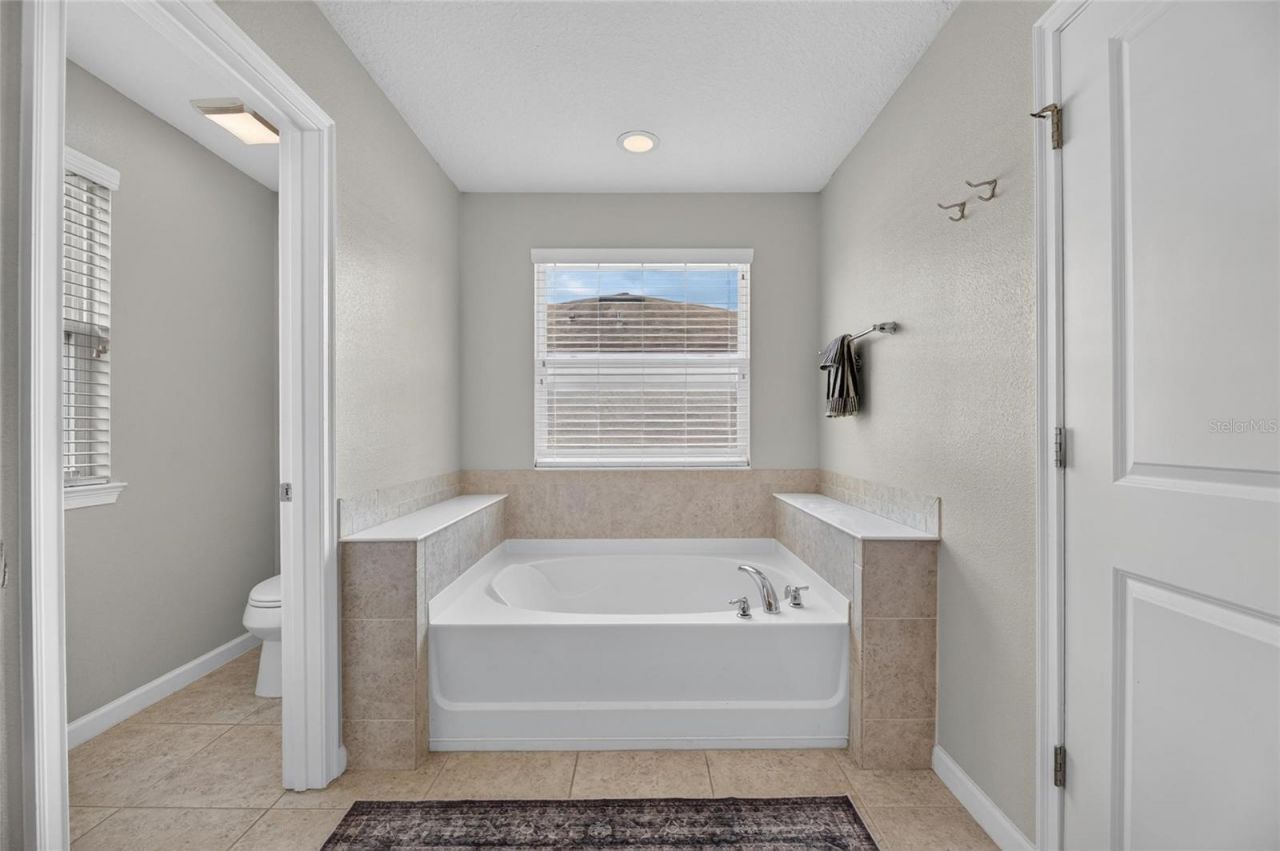 12211 Streambed Drive , Riverview, FL 33579 Photo