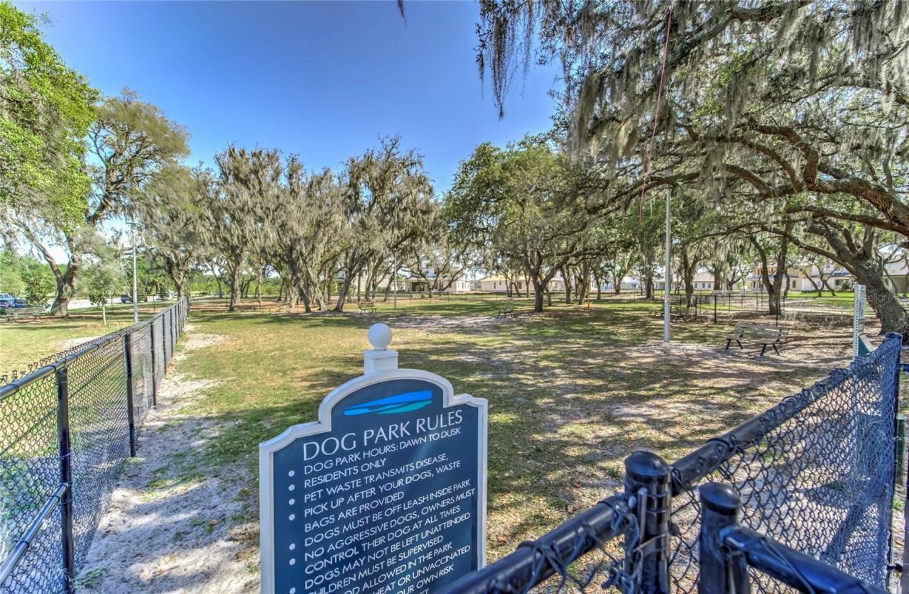 12211 Streambed Drive , Riverview, FL 33579 Photo