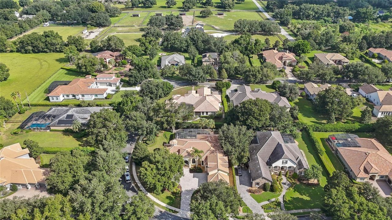 25514 High Hampton Circle, Sorrento, FL 32776 Photo