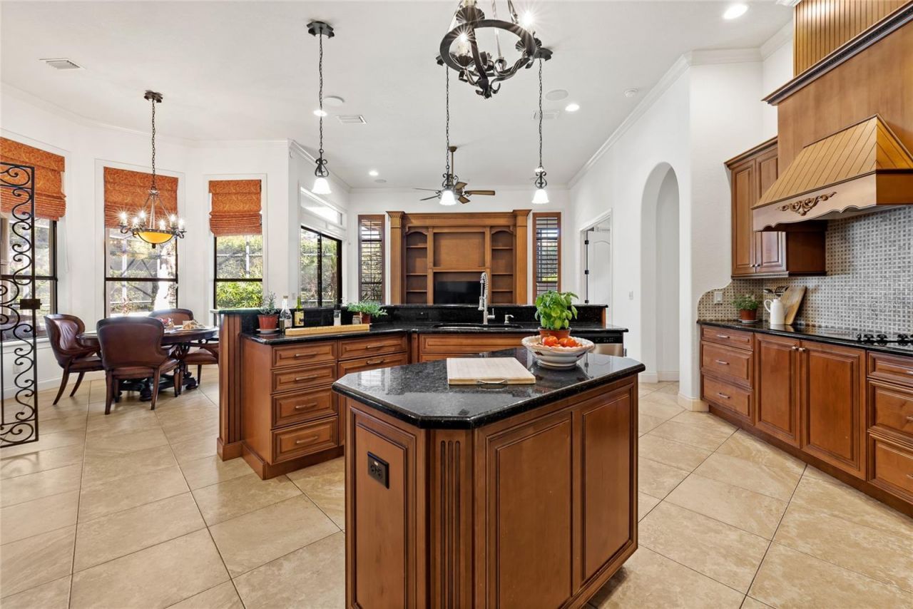 25514 High Hampton Circle, Sorrento, FL 32776 Photo