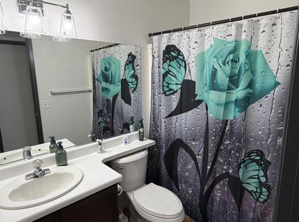 11700 Camel Rock Drive, Reno, NV 89506 Photo