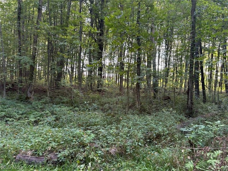 Center Road, Conneaut, OH 44030 Photo 2