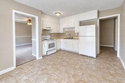 385 Price Street photo 4