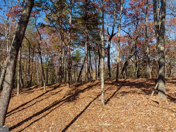 LOT 41 Preserve Trail, Ellijay, GA 30536