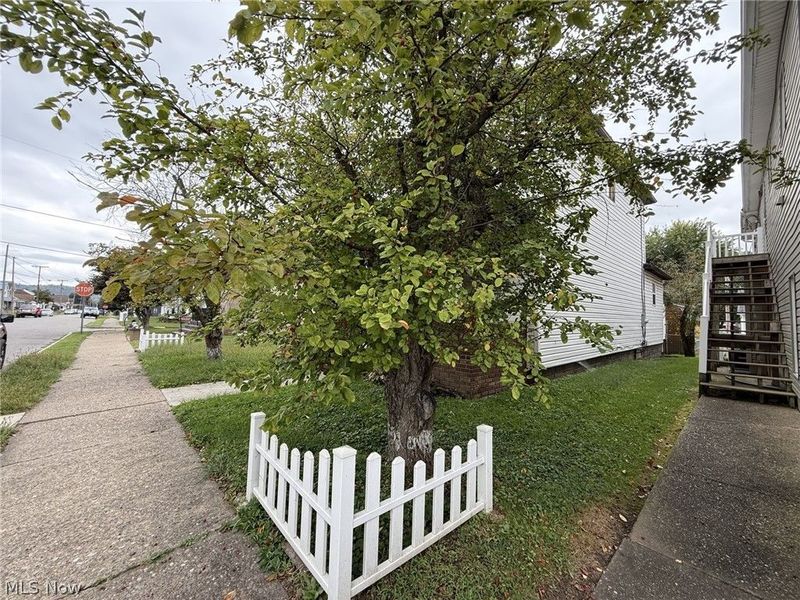 3712 Lincoln Avenue, Shadyside, OH 43947 Photo 4